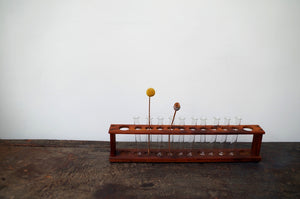 Vintage Wooden School Test Tube Rack