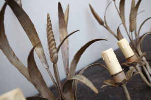 Mid-Century Wheatsheaf Sconces/Wall Lights