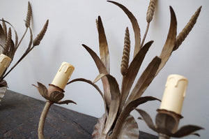 Mid-Century Wheatsheaf Sconces/Wall Lights