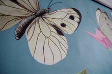 Load image into Gallery viewer, 1962 Jung-Koch-Quentell German Educational Chart - Pieris Brassicae No.30
