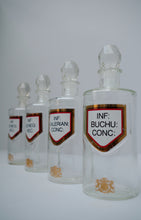 Load image into Gallery viewer, Set of Four Early 20th Century Apothecary Bottles (Clear Glass)
