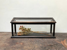 Load image into Gallery viewer, A Pair of Victorian Terrariums
